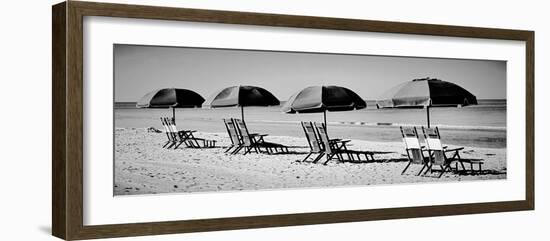 Beach Reunion-Gail Peck-Framed Photographic Print
