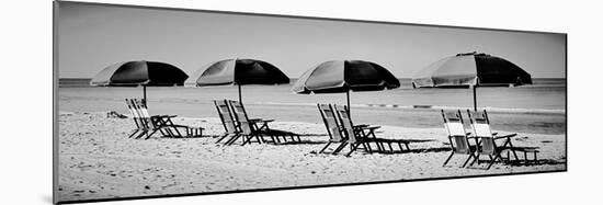 Beach Reunion-Gail Peck-Mounted Photographic Print