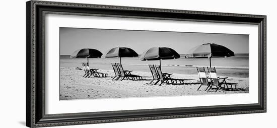 Beach Reunion-Gail Peck-Framed Photographic Print