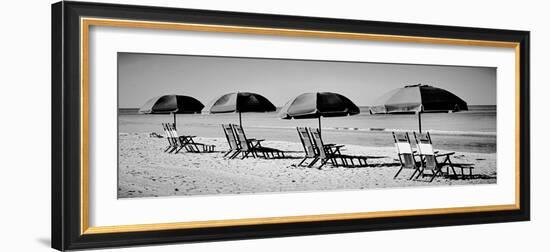 Beach Reunion-Gail Peck-Framed Photographic Print