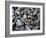 Beach rock detail-Savanah Plank-Framed Photo