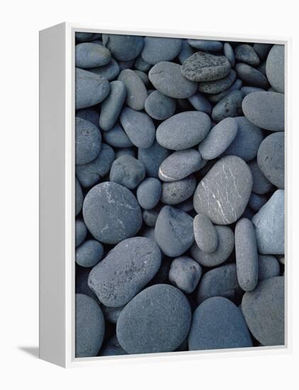 Beach Rocks on Rialto Beach, Olympic National Park, Wa-null-Framed Premier Image Canvas