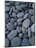 Beach Rocks on Rialto Beach, Olympic National Park, Wa-null-Mounted Photographic Print