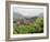 Beach Roses Along Marginal Way, Ogunquit, Maine, USA-Lisa S^ Engelbrecht-Framed Photographic Print