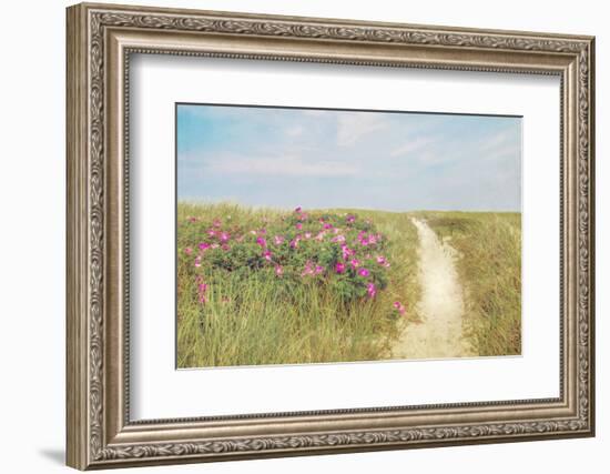 Beach Roses-Brooke T. Ryan-Framed Photographic Print