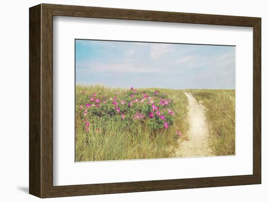 Beach Roses-Brooke T. Ryan-Framed Photographic Print