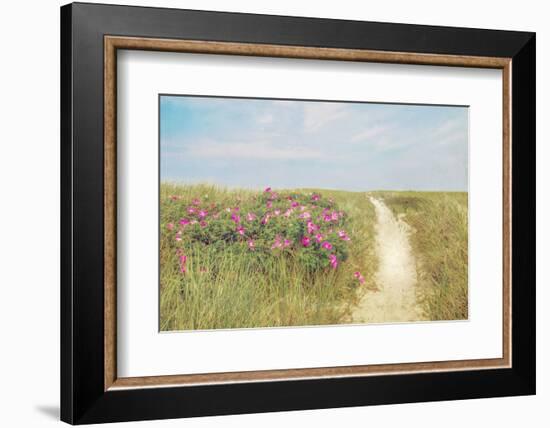 Beach Roses-Brooke T. Ryan-Framed Photographic Print