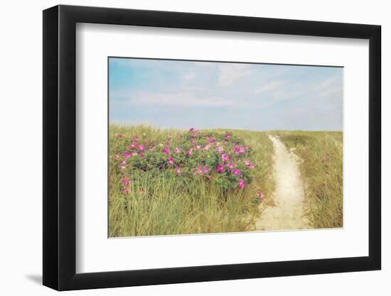 Beach Roses-Brooke T. Ryan-Framed Photographic Print