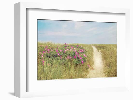 Beach Roses-Brooke T. Ryan-Framed Photographic Print