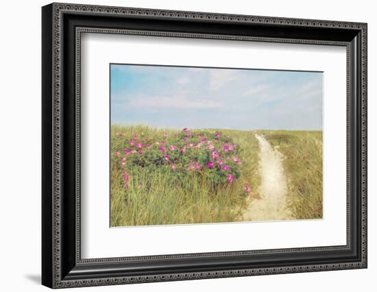 Beach Roses-Brooke T. Ryan-Framed Photographic Print