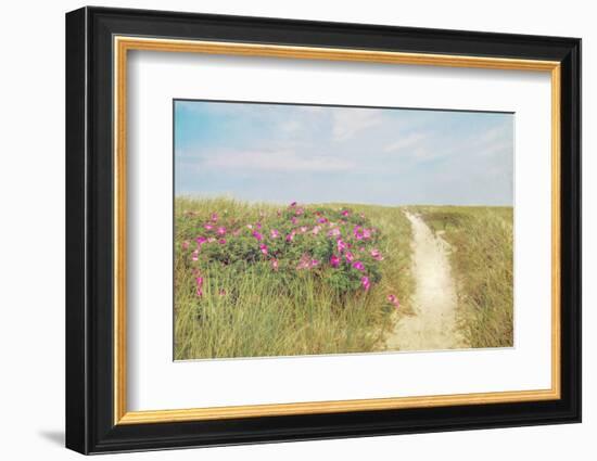 Beach Roses-Brooke T. Ryan-Framed Photographic Print