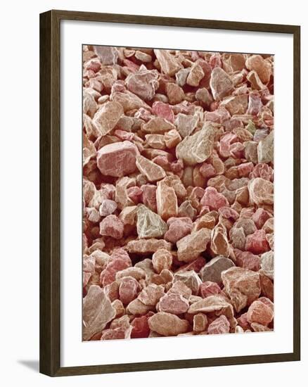 Beach Sand-Micro Discovery-Framed Photographic Print