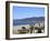 Beach, Santa Monica, Malibu Mountains, Los Angeles, California, Usa-Wendy Connett-Framed Photographic Print