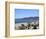 Beach, Santa Monica, Malibu Mountains, Los Angeles, California, Usa-Wendy Connett-Framed Photographic Print