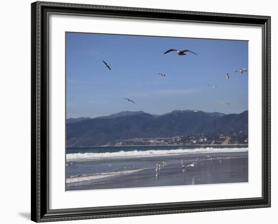 Beach, Santa Monica, Malibu Mountains, Los Angeles, California-Wendy Connett-Framed Photographic Print