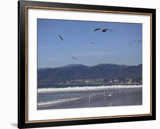 Beach, Santa Monica, Malibu Mountains, Los Angeles, California-Wendy Connett-Framed Photographic Print