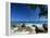 Beach Scene, Anse Lazio, Praslin, Seychelles, Indian Ocean, Africa-Lee Frost-Framed Premier Image Canvas