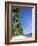 Beach Scene at El Nido, Bascuit Bay, Palawan, Philippines-Steve Vidler-Framed Photographic Print