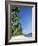 Beach Scene at El Nido, Bascuit Bay, Palawan, Philippines-Steve Vidler-Framed Photographic Print