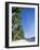 Beach Scene at El Nido, Bascuit Bay, Palawan, Philippines-Steve Vidler-Framed Photographic Print