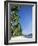 Beach Scene at El Nido, Bascuit Bay, Palawan, Philippines-Steve Vidler-Framed Photographic Print