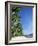 Beach Scene at El Nido, Bascuit Bay, Palawan, Philippines-Steve Vidler-Framed Photographic Print