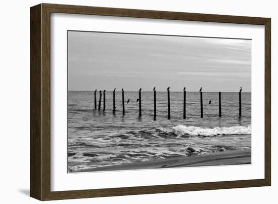 Beach Scene at Outer Banks-Martina Bleichner-Framed Art Print