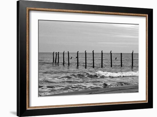 Beach Scene at Outer Banks-Martina Bleichner-Framed Art Print