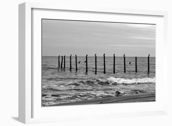 Beach Scene at Outer Banks-Martina Bleichner-Framed Art Print