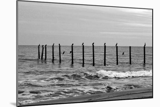 Beach Scene at Outer Banks-Martina Bleichner-Mounted Art Print