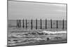 Beach Scene at Outer Banks-Martina Bleichner-Mounted Art Print