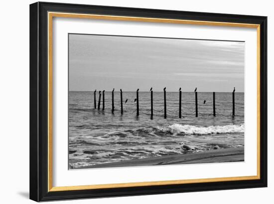 Beach Scene at Outer Banks-Martina Bleichner-Framed Art Print