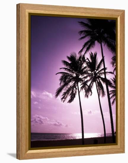 Beach Scene at Sunset-Bill Bachmann-Framed Premier Image Canvas