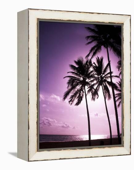 Beach Scene at Sunset-Bill Bachmann-Framed Premier Image Canvas