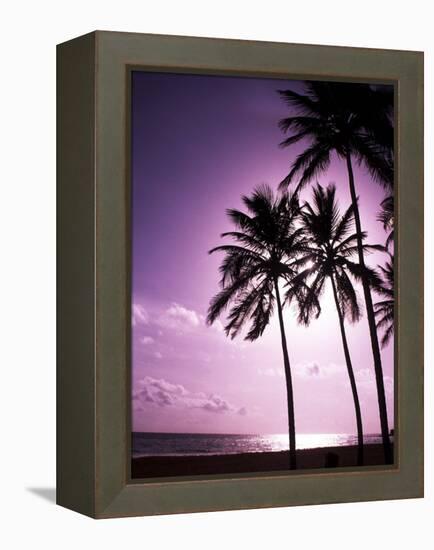 Beach Scene at Sunset-Bill Bachmann-Framed Premier Image Canvas