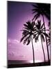 Beach Scene at Sunset-Bill Bachmann-Mounted Photographic Print