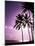 Beach Scene at Sunset-Bill Bachmann-Mounted Photographic Print