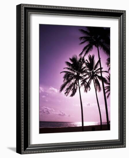 Beach Scene at Sunset-Bill Bachmann-Framed Photographic Print