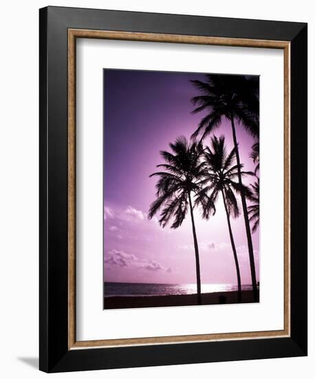 Beach Scene at Sunset-Bill Bachmann-Framed Photographic Print