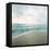 Beach Scene II-Susan Bryant-Framed Premier Image Canvas