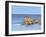 Beach Scene II-Dianne Miller-Framed Art Print