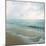 Beach Scene III-Susan Bryant-Mounted Photo