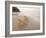 Beach Scene, Samed Island, Rayong, Thailand-Gavriel Jecan-Framed Photographic Print