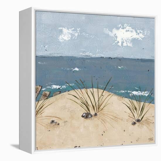 Beach Scene Triptych III-Jade Reynolds-Framed Stretched Canvas