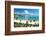 Beach Scene, Tropics, Pacific Ocean-haveseen-Framed Photographic Print