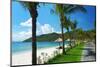 Beach Scene, Tropics, Pacific Ocean-haveseen-Mounted Photographic Print