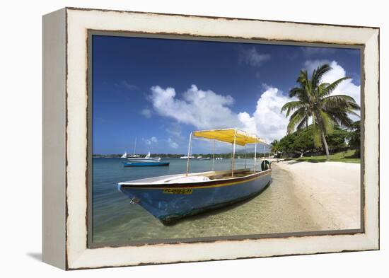 Beach Scene with Palm Trees-Lee Frost-Framed Premier Image Canvas