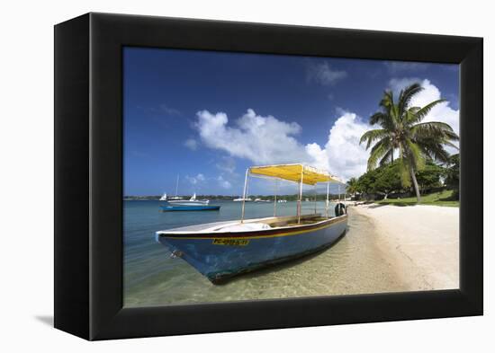 Beach Scene with Palm Trees-Lee Frost-Framed Premier Image Canvas