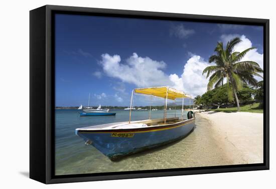 Beach Scene with Palm Trees-Lee Frost-Framed Premier Image Canvas