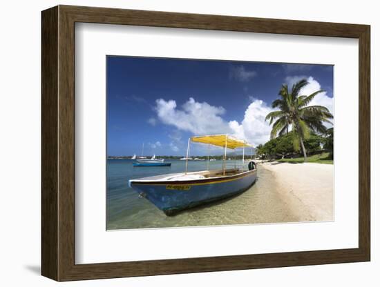 Beach Scene with Palm Trees-Lee Frost-Framed Photographic Print